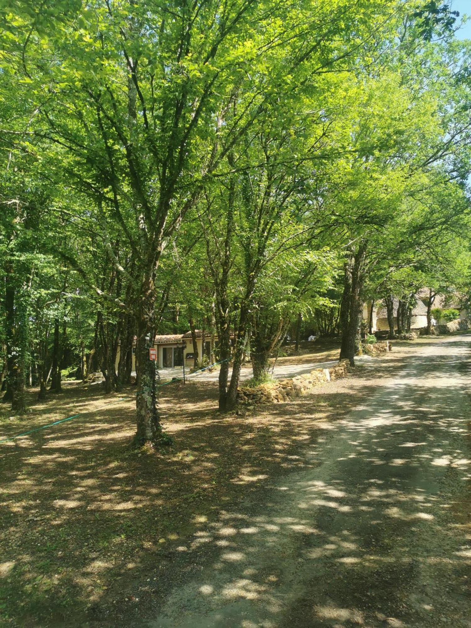 Gite La Borie Du Bois Sarlat Saint-Andre-d'Allas Eksteriør bilde